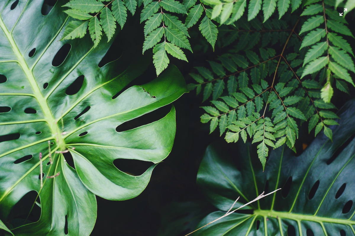 Gallery Detail: Sustainable Property Maintenance Tips For An Eco Friendly Home